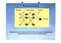 XPROPRA21X11A000001063