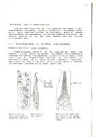 XPROPRA21X11A000013455